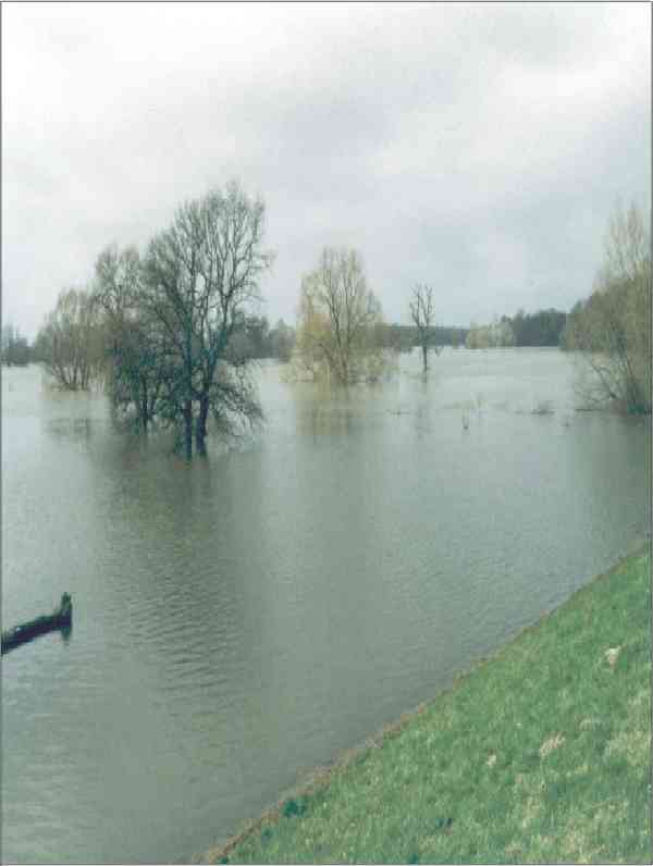 berflutete Elbe